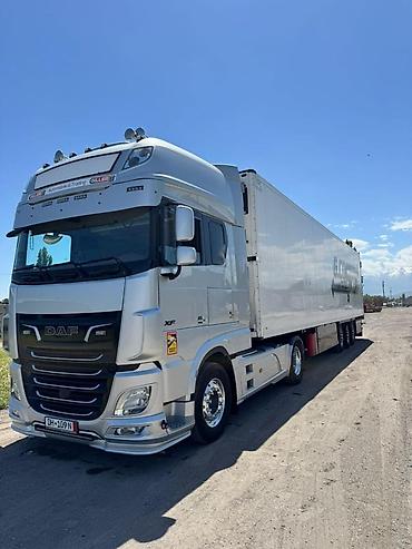 uni 260b: Тягач, DAF, 2020 г., Холодильник, рефрижератор — 2