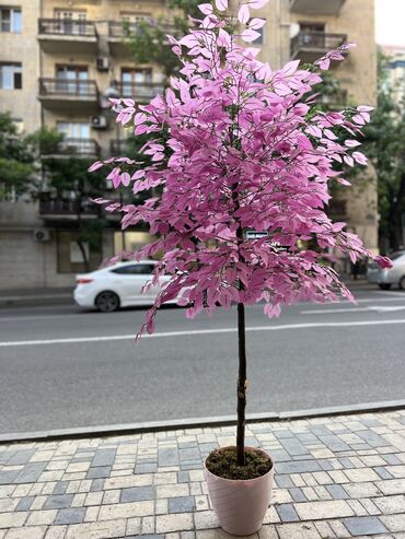 Süni güllər: 50 man baslayan qiymetler — 18