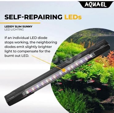 Аквариумные аксессуары и принадлежности: Led işıq “Aquael Leddy Slim SUNNY 32w” - Original Rəsmi mağazada