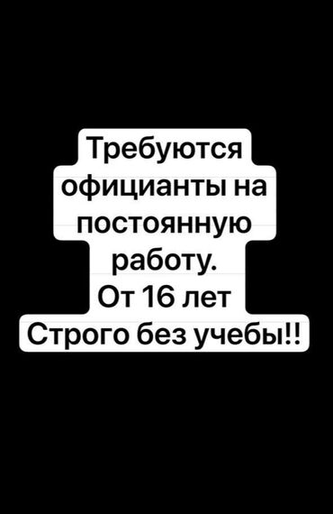 официант в отель: Требуется Официант Без опыта, Оплата Ежедневно