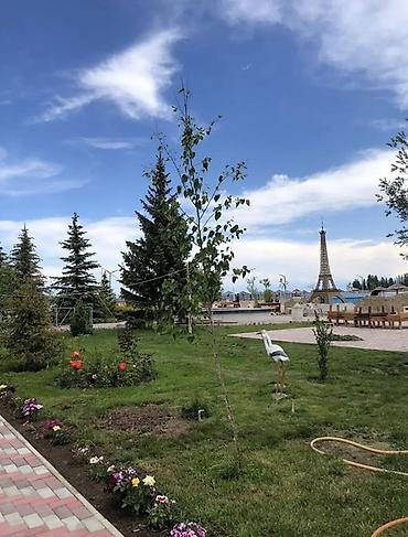 купит дом: 2 комнаты, Семейным, С мебелью полностью — 8
