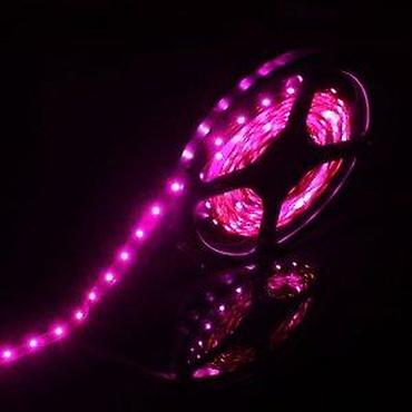 Rasveta: PINK USB LED TRAKE 5V 60 DIODA/M | *AKO IMATE POSEBNU ŽELJU OKO — 16