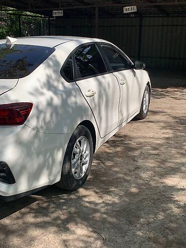 селтос 2022: Kia Cerato: 2019 г., 1.6 л, Автомат, Бензин, Седан — 4