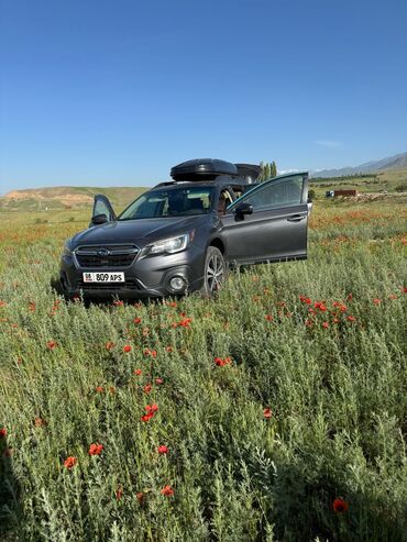 левый руль форестер: Subaru Outback: 2018 г., 2.5 л, Вариатор, Бензин, Универсал
