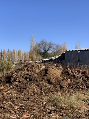 охрана с проживанием: Перепревший натуральный навоз/компост для огорода и сада. -