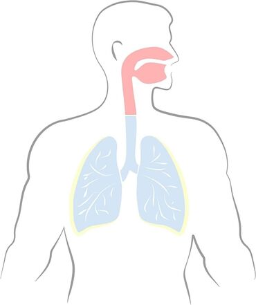 Inhalatori, nebulizatori: INHALATOR Nebulizacija tehnologijom komprimovanog vazduha — 11