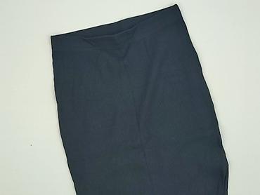 lidl spodnice: Janina, Spódnica damska, rozmiar L — 1
