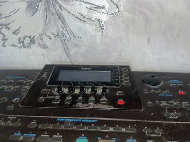 Digər musiqi alətləri: Sintezator, Roland