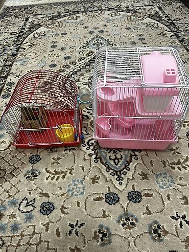 Qəfəslər: 1 ədəd ana hamster 3 ədəd bala hamster 2 kletka biri böyük biri — 7