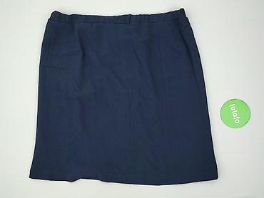 element spódnicy: Spódnica damska, rozmiar 3XL — 3