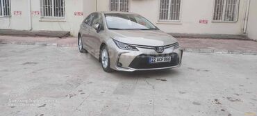 Toyota: Toyota Corolla: 1.6 l. | 2020 έ. Λιμουζίνα — 7