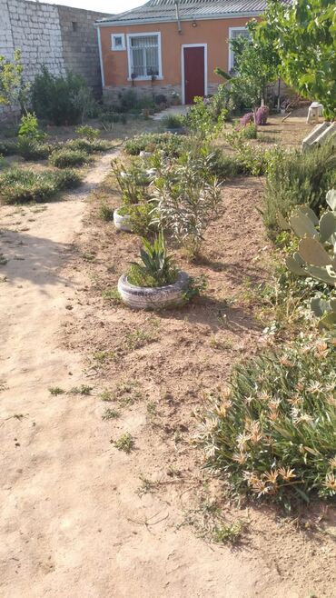 Həyət evləri və villaların satışı: Buzovna vişnovka .Tam dolu satlir eşyalarla birlikde -da lalafo.az — 10 Həyət evləri və villaların satışı: Buzovna vişnovka .Tam dolu satlir eşyalarla birlikde — 10