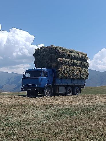 тягач рено: Грузовик, 7 т, Б/у — 6