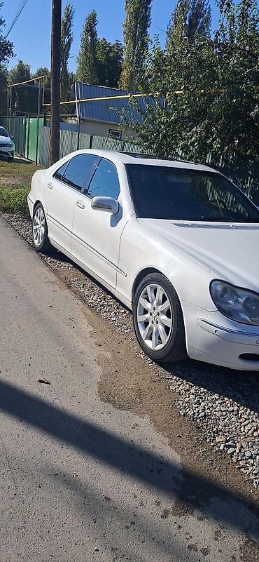 ксенон: Mercedes-Benz S-Class: 2001 г., 5 л, Автомат, Седан — 2