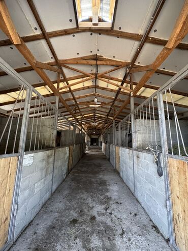 Сельхоз предприятия: Продаю Ферма КРС, 330 соток, Действующий, С оборудованием, Холодная вода, Электричество — 2