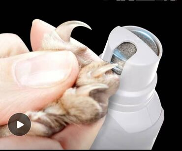 Зоотовары: Зоотовары.
Игрушки для животных — 3