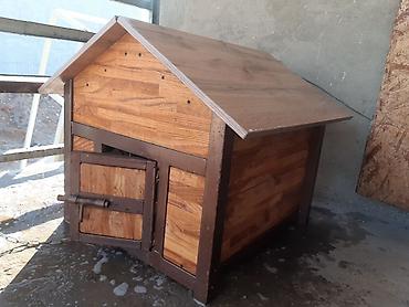 Зоотовары: Делаем будки на заказ для ваших любимцев ( кошки, собаки можно и at lalafo.kg — 2 Зоотовары: Делаем будки на заказ для ваших любимцев ( кошки, собаки можно и — 2