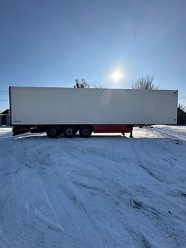 прицеп 150: Прицеп, Schmitz Cargobull, Холодильник, рефрижератор, от 12 т, Б/у — 2
