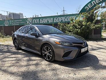 camry 2020: Toyota Camry: 2020 г., 2.5 л, Автомат, Гибрид, Седан — 1