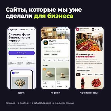 Разработка сайтов, приложений: Веб-сайты, Лендинг страницы — 2