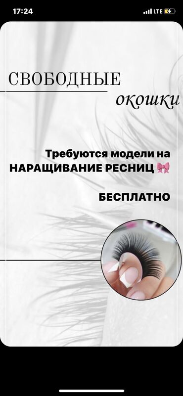 кирпич ылай: Кирпиктер | Кирпиктерди өстүрүү | Голливуд, Классика, 2D