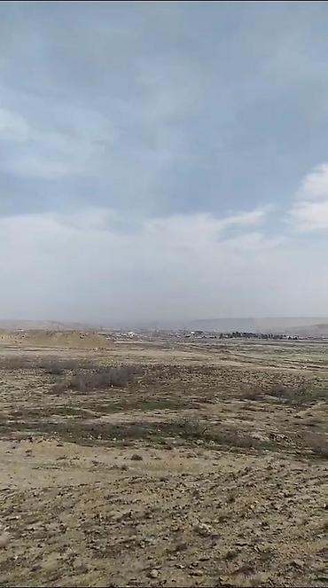 Torpaq: 80 sot, Tikinti, Mülkiyyətçi, Kupça (Çıxarış) — 3