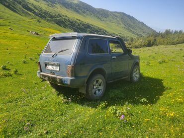 зил вездеход: ВАЗ (ЛАДА) 4x4 Нива: 2006 г., 1.7 л, Механика, Бензин, Кроссовер