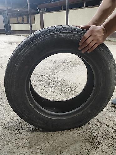 winter: Продам зимнюю шину Dunlop Winter Maxx SJ8 215/65 R16. Хорошее — 2