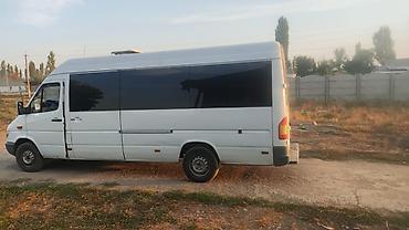 34 машина: Mercedes-Benz Спринтер: 2004 г., 2.2 л, Механика, Дизель, Бус — 3