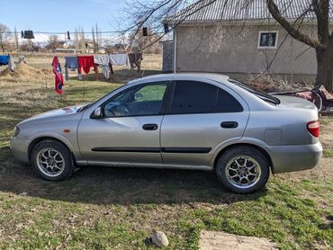 almera tino: Nissan Almera: 2002 г., 1.5 л, Механика, Бензин, Седан