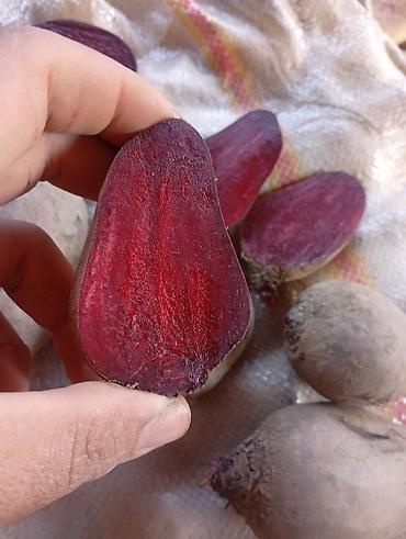 Продукты питания: Salam Təzə Gədəbəy Çuğunduru kilosu 30 qəpik Ünvan:Bakı, Binə — 2