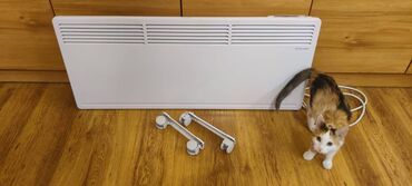 Elektrikli qızdırıcılar və radiatorlar: Qızdırıcı konvektor, Electrolux, Kredit yoxdur, Ünvandan götürmə