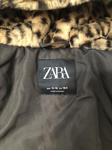 куртки подросковые: Куртка Zara 14-15 лет новая практически ! Качество отличное Очень — 3