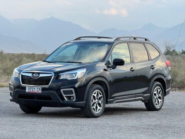 багажник на крышу авто цена: Subaru Forester: 2019 г., 2.5 л, Автоматтык, Бензин, Кроссовер