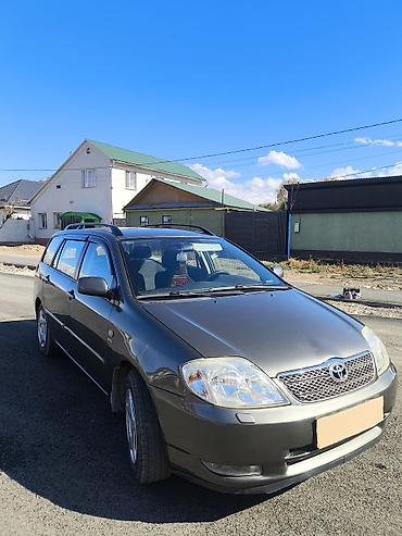 Toyota: Toyota Corolla: 2004 г., 1.6 л, Механика, Бензин, Универсал — 3
