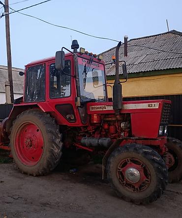 Трактор BELARUS 82.1 (МТЗ-82.1), универсально-пропашной - Колёсная