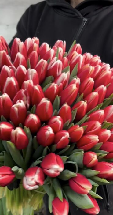 Цветы и букеты: Тюльпаны Оптом 🌼️ Хочешь покорить сердца миллионами улыбок? Начни с — 3