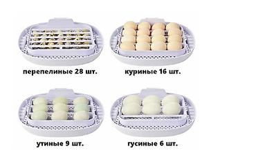 Товары и оборудование для с/х животных: Инкубатор на 16 яиц #Инкубатор #БизнесИнкубатор — 4