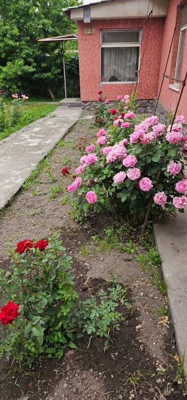 изу земельный дом жил массив кок жара: Дом, 96 м², 5 комнат, Собственник