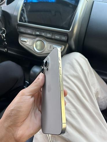 switch lite: IPhone 16 Pro Max, Б/у, 256 ГБ, Серебристый, 89 % — 1
