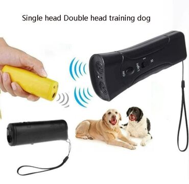 İtlər: 10 il, Dişi, Pulsuz çatdırılma, Ödənişli çatdırılma, Rayonlara çatdırılma -da lalafo.az — 6 İtlər: 10 il, Dişi, Pulsuz çatdırılma, Ödənişli çatdırılma, Rayonlara çatdırılma — 6