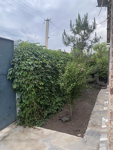 Продажа коттеджей и домов: 🏡 Продается уютный дом рядом с Бишкеком. Вода питьевая проведена — 22