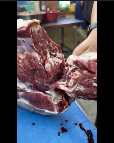 Другие услуги: Куйо бала на час, кой 🐑 эчки сойуп беребиз үйүңүздорго барып.вотсап