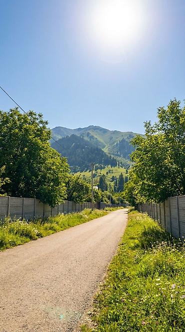 инвестиций: 16 соток, Для строительства, Красная книга — 7