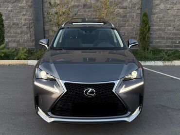 по всем вопросам обращаться по номеру: Lexus NX: 2019 г., 2 л, Автомат, Бензин, Кроссовер