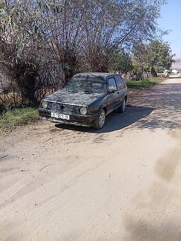 люк бмв: Volkswagen Golf: 2026 г., Хэтчбэк — 4