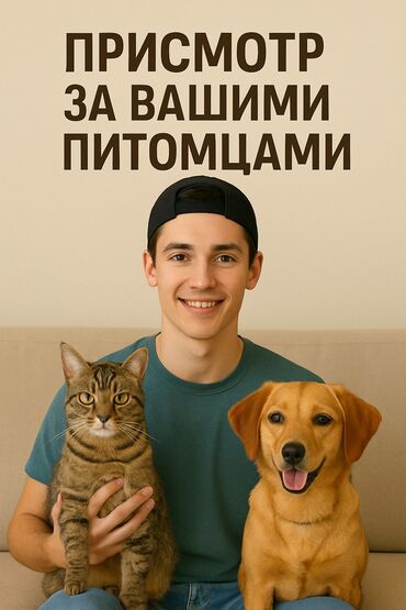 сколько стоит вызвать мишку на день рождения: Присмотр за вашими питомцами 🐶🐱 — Бишкек, район Ушакова 46 Уезжаете в
