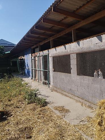 Продажа коттеджей и домов: Продаётся дом в село чалдавар, 2 этажни дом и времянка, 16 соток — 16