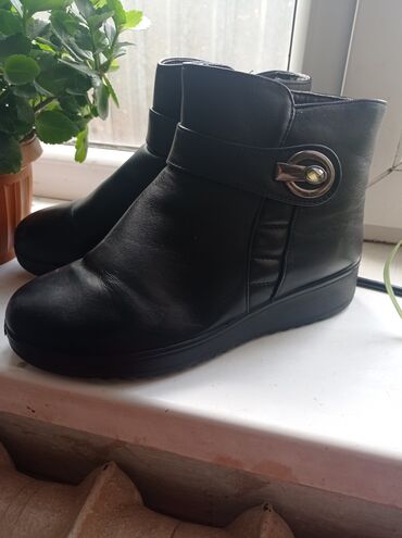 обувь женская деми: Сапоги, 36, цвет - Черный