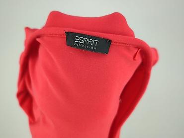 kult: Esprit Collection, Sukienka damska, rozmiar M — 4